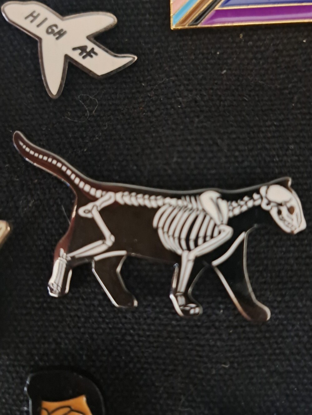 Black Skeleton Cat Enamel Pin
